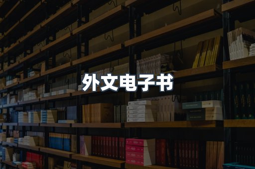 外文电子书